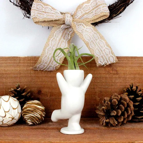 Vista 4 de NW Wholesaler Maceta de cerámica blanca con forma de persona feliz de 3.25 pulgadas con planta de aire Tillandsia viva, plantas de aire