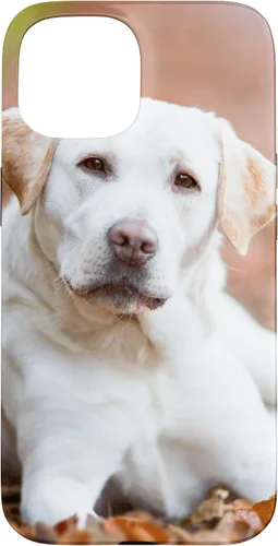 Vista 6 de Labrador Retriever Dog Lover - Carcasa para iPhone 17