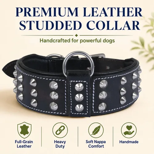 Vista 2 de Collar de perro con tachuelas de cuero genuino Remache de brasero Collar de perro de 2 pulgadas de ancho Grado de sillín, resistente