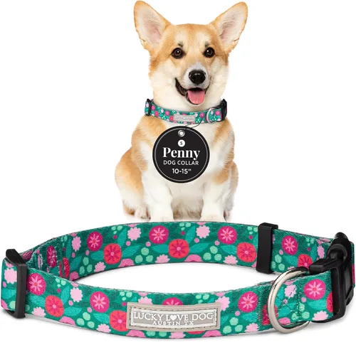 Vista 79 de Lucky Love Dog - Collar para perras pequeñas, diseño Blackbird de estampado alegre con flores de primavera y verano, talla XS Collar Blackbird
