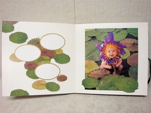 Vista 8 de K-Musculo 1 álbum de fotos de Anne Geddes
