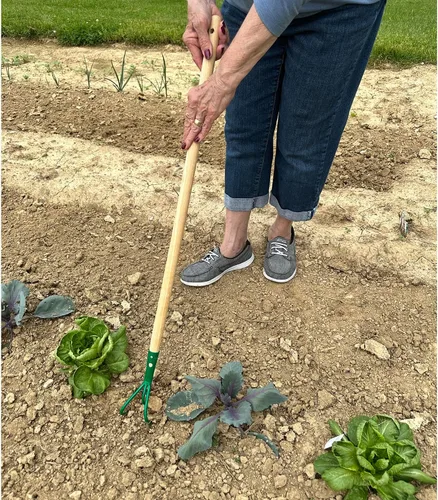 Vista 4 de Eurogarden Cultivador de 3 dientes para niños, herramienta de jardín ligera con mango de madera largo para niños o adultos que prefieren