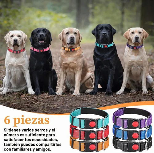 Vista 6 de Sweetude Paquete de 6 collares reflectantes para perros con hebilla