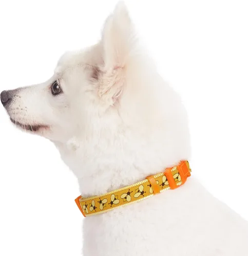 Vista 3 de Blueberry Pet 10+ Patrones Zoo Fun Collar de perro