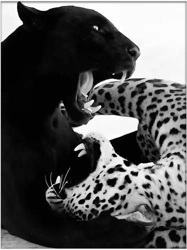 Vista 9 de Impresión de guepardo en el espejo, impresión de fotografía en blanco y negro, leopardo vintage en blanco y negro, fotos de espejo con aspecto