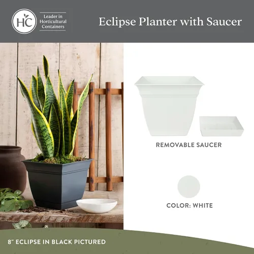 Vista 76 de The HC Companies, Eclipse - Maceta cuadrada de 12 pulgadas, con platillo, maceta para sembrar flores, verduras y hierbas en interiores y exteriores