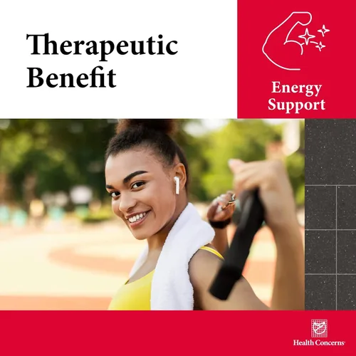 Vista 5 de Health Concerns Levanta Qi – Energía y apoyo del sistema inmunológico – Fórmula Bu Zhong Yi Qi Wan – Astrágalo, Ginseng y Dong Quai Suplemento