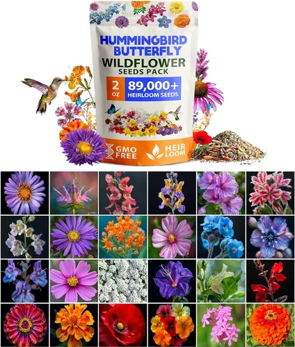 Vista 11 de HOME GROWN - 49 000 semillas de flores silvestres, mezcla a granel, 2 onzas, 21 variedades de mezcla de flores silvestres, para atraer abejas