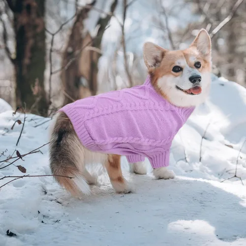 Vista 99 de Queenmore - Suéter de punto trenzado con cuello alto para perros pequeños, para climas fríos, para chihuahua, bulldog, teckel, carlino y yorkie, XS