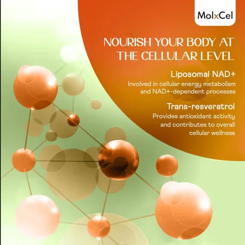 Vista 4 de Suplemento liposomal NAD con resveratrol, avanzado NAD+ resveratrol para mujeres y hombres, 60 cápsulas, suministro para 30 días