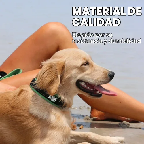 Vista 3 de Black Rhino - The Comfort Collar - Collar de perro acolchado de neopreno ultra suave para todas las razas. Resistente, ajustable, reflectante
