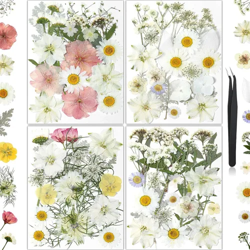 Vista 15 de 100 piezas de flores prensadas secas de hortensias para manualidades de Hortensia 100pcs