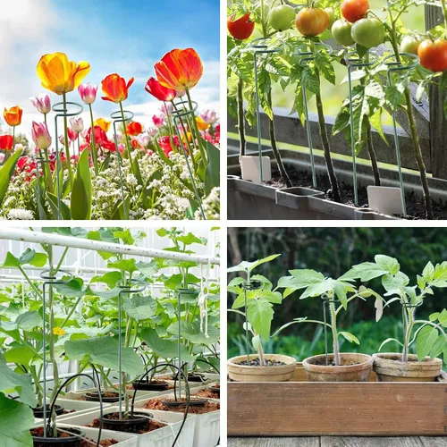 Vista 5 de Thealyn Paquete de 12 estacas de soporte para plantas de 16 pulgadas, aros de metal de un solo tallo de soporte de flores, estacas de plantas