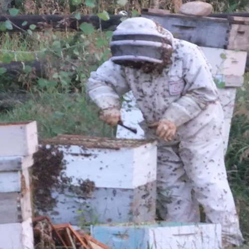 Vista 5 de Houston TX Allergy Honey Local Bee Honey (puro crudo sin filtrar)