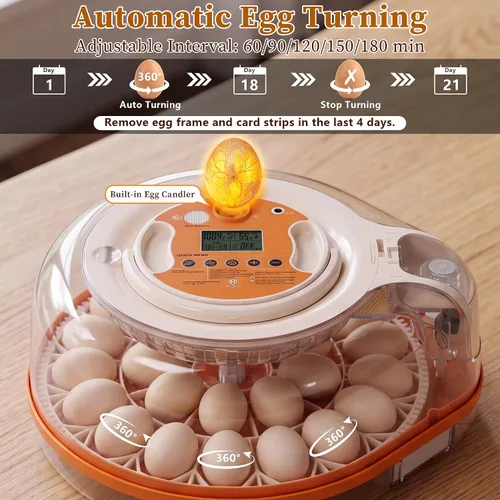 Vista 5 de Incubadora de 26 huevos con control de voz inteligente y control automático de temperatura/humedad