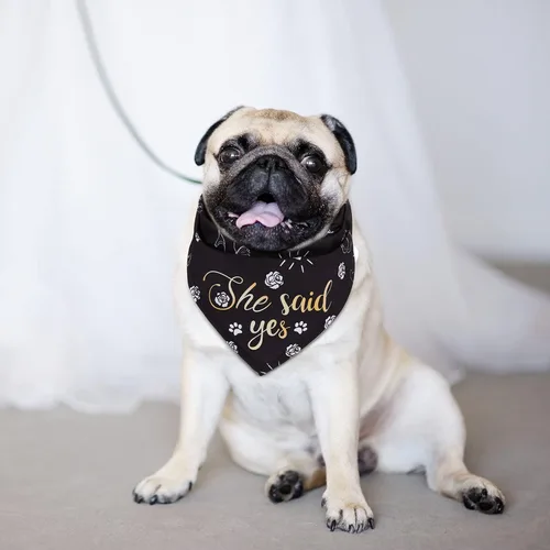 Vista 7 de Frienda 4 unidades My Humans are Getting Married Dog Bandana She Said Yes para fotos de compromiso de boda, traje de boda para perro, regalo