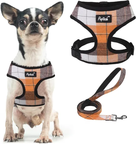 Vista 79 de PUPTECK Juego de arnés y correa de malla suave para perro, cachorro y gato, cómodo chaleco acolchado sin tirones, azul Pascua, S