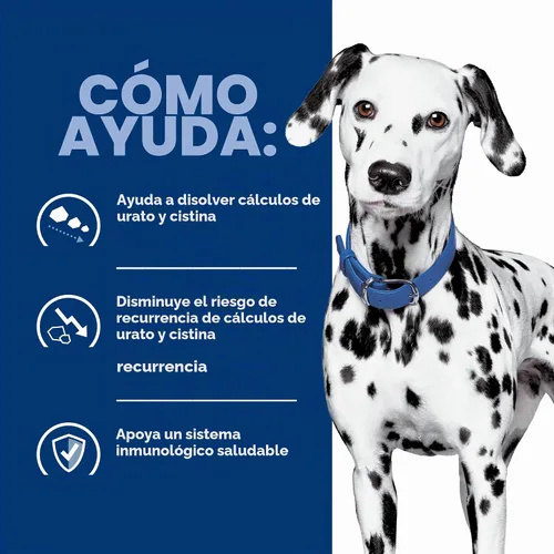 Vista 5 de Hill's Prescription Diet u/d Cuidado urinario Comida húmeda para perros #1 recomendada por veterinarios, receta de pollo, 13 onzas. Latas, paquete