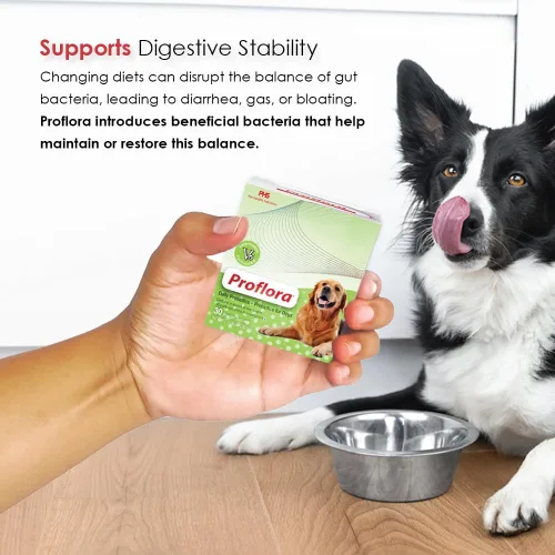 Vista 7 de Probióticos diarios y prebióticos para perros, apoya la salud digestiva y el sistema inmunológico, 30 sobres de polvo, 1.06 onzas (paquete de 1)