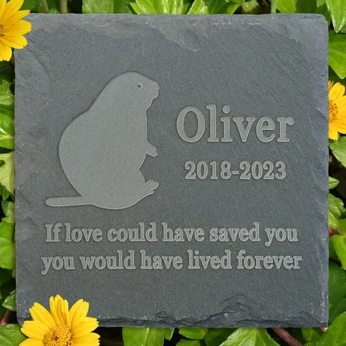 Vista 20 de Regalo de piedra conmemorativa para mascotas, lápida conmemorativa de jardín, marcador de tumba de toro, lápida de condolencia, regalo personalizado