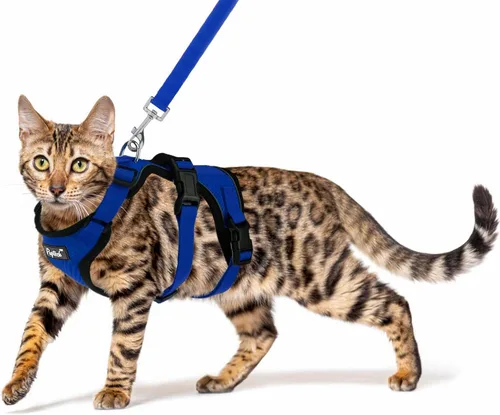 Vista 11 de PUPTECK Juego de arnés y correa para gato a prueba de escape para caminar, chaleco de malla transpirable arnés ajustable para gatos cachorros Negro