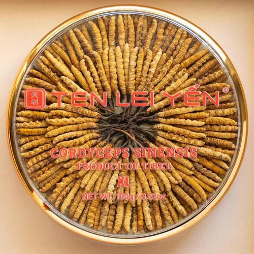 Vista 3 de Cordyceps Sinensis entero cultivado del Tíbet Extra grande 3.52 oz