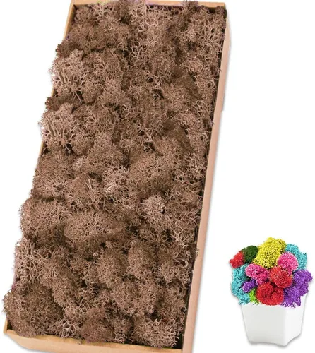 Vista 12 de Musgo de reno azul de 3.5 onzas, musgo preservado para plantas, decoración de musgo, musgo verde para manualidades, musgo para plantas en maceta