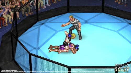 Vista 5 de Fire Pro Wrestling World - PlayStation 4