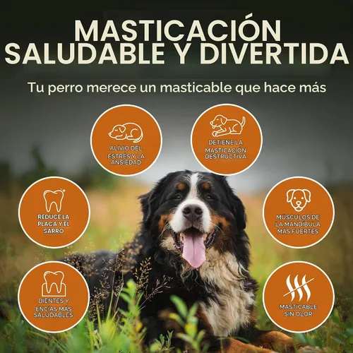 Vista 4 de Wildfang Raíz masticable de madera de brezo, pequeño, sin astillas, juguetes masticables para perros masticadores agresivos, juguetes naturales