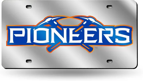 Vista 46 de Rico Industries Placa de matrícula de metal con incrustaciones láser de Florida Gators de la NCAA