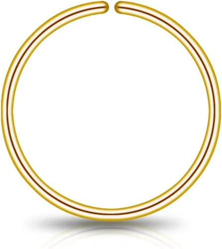 Vista 22 de LUCKYJEWUS Small Thin Gold or Sterling Silver Nose Ring Hoop for Women, Tiny Nose Piercing jewelry