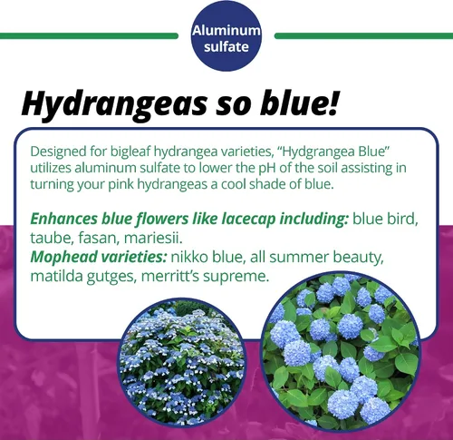 Vista 4 de Jack's Classic 7-3-3 Fertilizante soluble en agua Hydrangea Blue, 1.5lb