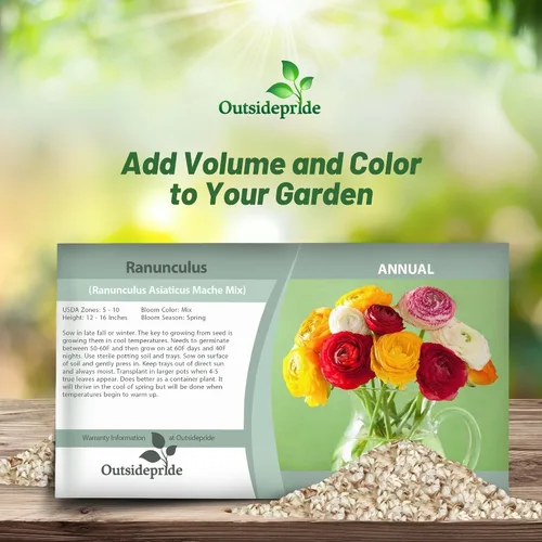 Vista 4 de Outsidepride 20 semillas anuales de ranúnculo persa ranúnculo macé flor semilla mezcla para plantar