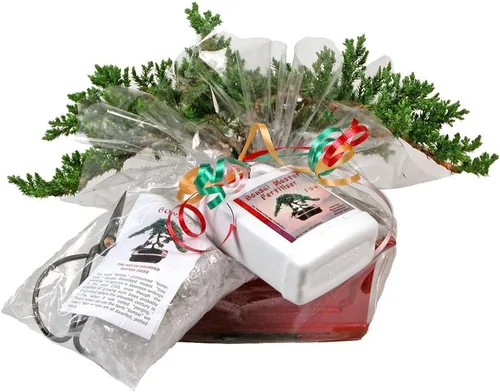 Vista 2 de Eve's - Kit de regalo de árbol bonsái de enebro japonés para exteriores, enebro japonés para 6 años, incluye fertilizante, figura y cortaúñas