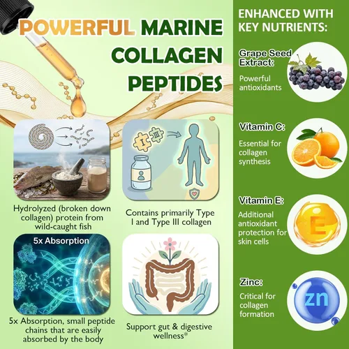 Vista 2 de Gotas líquidas de péptidos de colágeno marino, colágeno hidrolizado tipo I y III con extracto de semilla de uva con vitamina C E