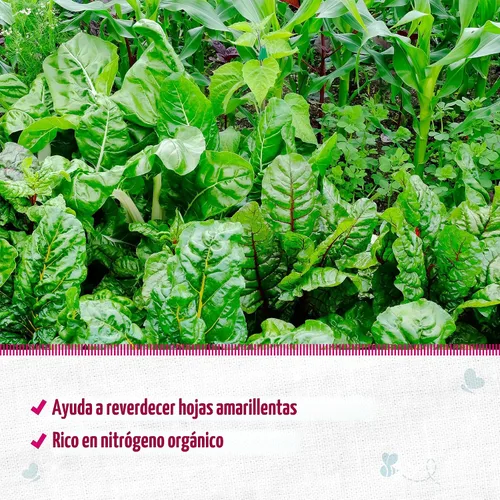 Vista 3 de Back to The Roots Harina de sangre 100% orgánica Fabricada en los EE. UU. Nutrición premium para jardinería de plantas de interior y exterior