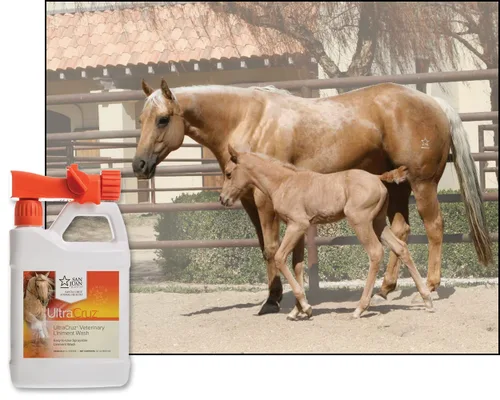 Vista 4 de UltraCruz Lavado de linimento veterinario para caballos, 32 onzas con spray de viaje