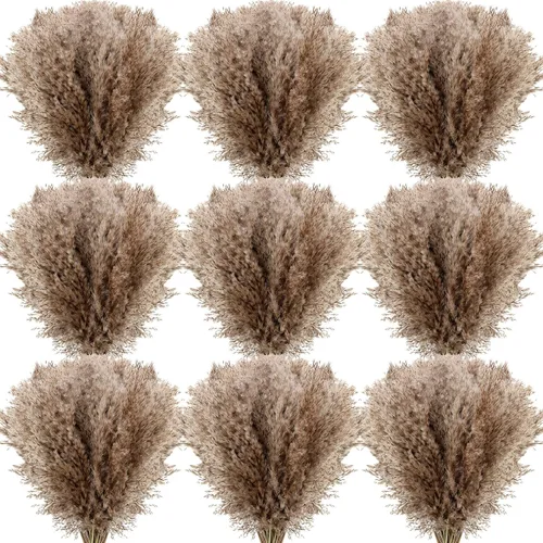Vista 10 de Janinka 100 piezas de hierba seca de las pampas de 17 pulgadas a granel, ramos de flores naturales bohemias, pomposas, salvajes y esponjosas
