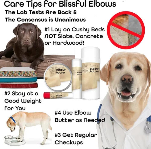 Vista 5 de The Blissful Dog Mantequilla de codo para callos secos y agrietados, bálsamo para perros seguro para lamer, bálsamo calmante para codos con manteca