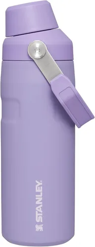 Vista 72 de STANLEY IceFlow Botella de agua de flujo rápido de 24 onzas Tapa con boquilla inclinada Ligera y a prueba de fugas para viajes y deportes Polar