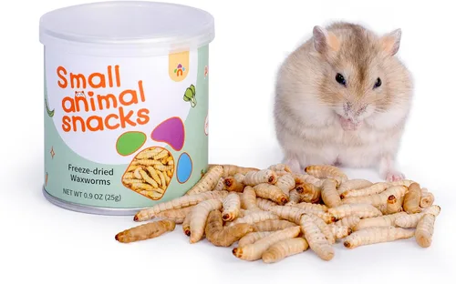 Vista 10 de Niteangel Bocadillos y golosinas para animales pequeños: gusanos secos y sin aditivos