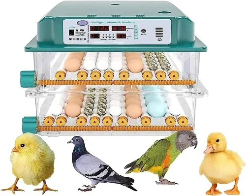 Vista 6 de Incubadora automática de pollo para criar huevos 98/120 Incubadora automática de huevos Incubadora de huevos de ganso pájaro Incubadora