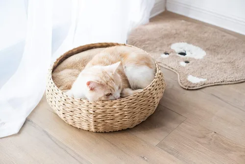 Vista 5 de PetPals Cama de cesta de cuerda de papel tejida a mano con cojín