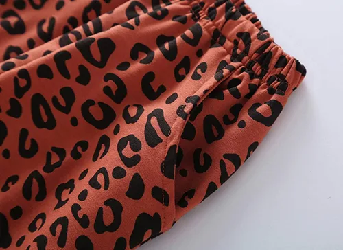 Vista 6 de Conjunto de ropa con estampado de leopardo para niñas pequeñas, camiseta de manga larga y pantalones, 2 piezas