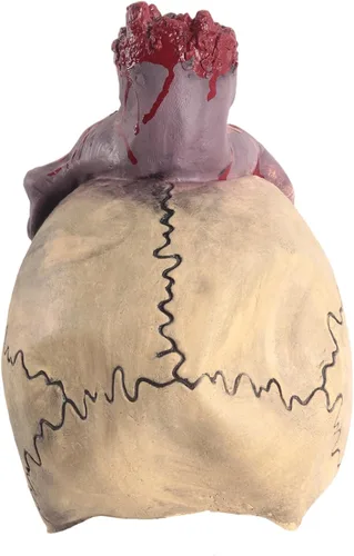 Vista 3 de Máscara de calavera de mano para adultos, disfraz de zombi
