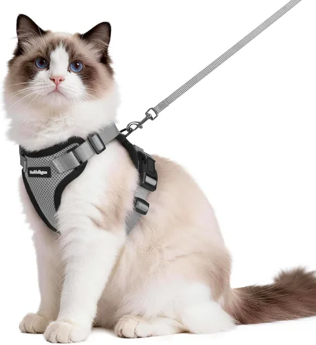 Vista 25 de rabbitgoo Cat Harness and Leash Set, Escape Proof Vest, XXS, Berry Pounce Soft Breathable Mesh, No-choke Adjustable Fit, Snap Buckles, Sturdy
