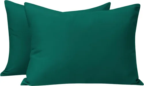 Vista 17 de NTBAY Juego de 2 fundas de almohada con cremallera para niños pequeños, 100% microfibra cepillada de 13 x 18 pulgadas, súper suaves y acogedoras