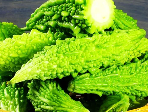Vista 3 de 15 semillas de melón amargo: calabaza amarga reliquia, fácil de plantar (sin OGM)