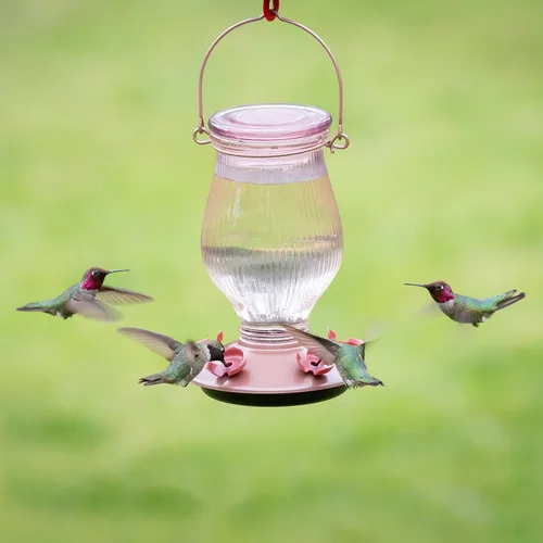 Vista 2 de Perky-Pet 9104-2 Alimentador de colibrí de cristal con relleno superior de oro rosa de 24 onzas de capacidad