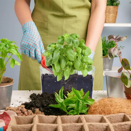 Vista 7 de Oliz Macetas de autorriego – Paquete de 4 macetas rectangulares transparentes con agujeros de drenaje para plantas